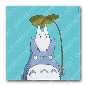 Láminas De Totoro Totoro & Amigos / 30X30 Laminas
