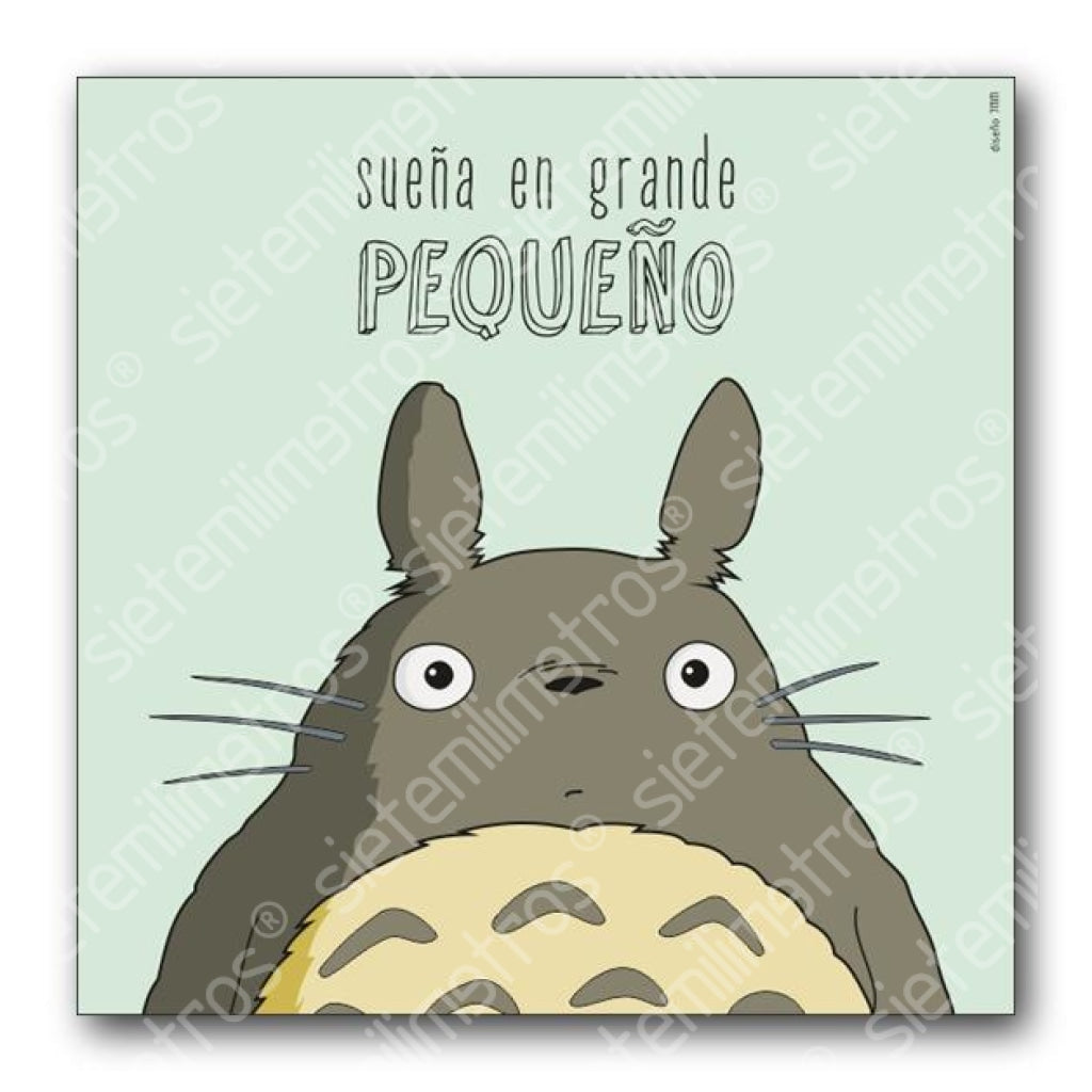 Láminas De Totoro Totoro - Pequeño / 30X30 Cm Laminas