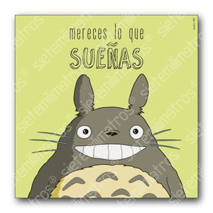 Láminas De Totoro Totoro - Sueñas / 30X30 Cm Laminas